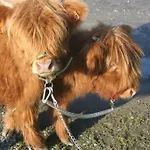Séjour à la ferme L'instant Présent