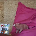 L'instant Présent * Grandhan