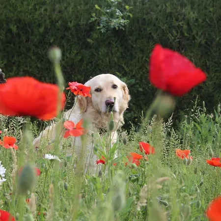ファームステイ L'instant Present