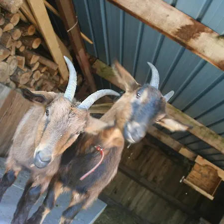 ファームステイ L'instant Present