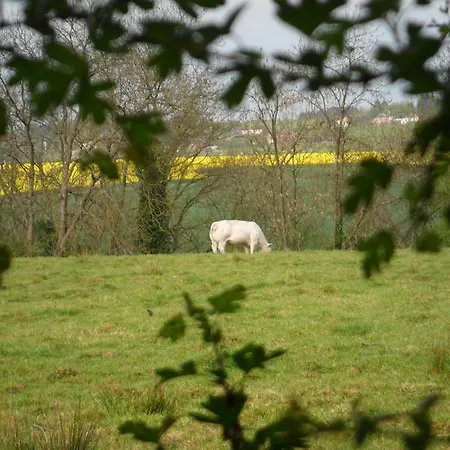 La Ferme Du Pré * Grandhan