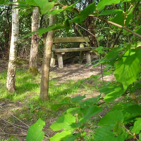 L'instant Present ファームステイ