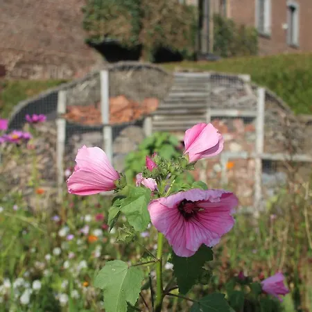 L'instant Present ファームステイ Grandhan